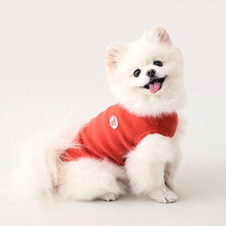 프로필 사진